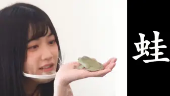 中字 见到青蛙兴奋的小泉萌香和惊恐的佐藤日向 哔哩哔哩 Bilibili