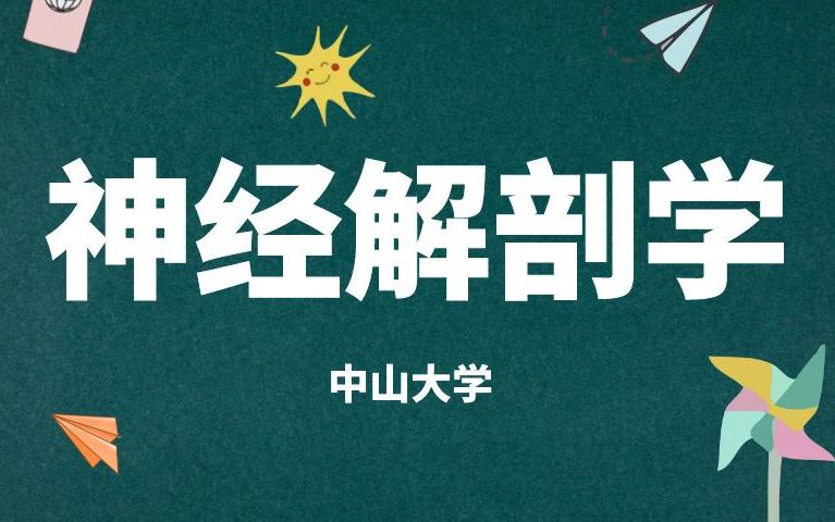 《神经解剖学》系列课程30讲完整版来听老师深入浅出地讲解,看完包会!哔哩哔哩bilibili