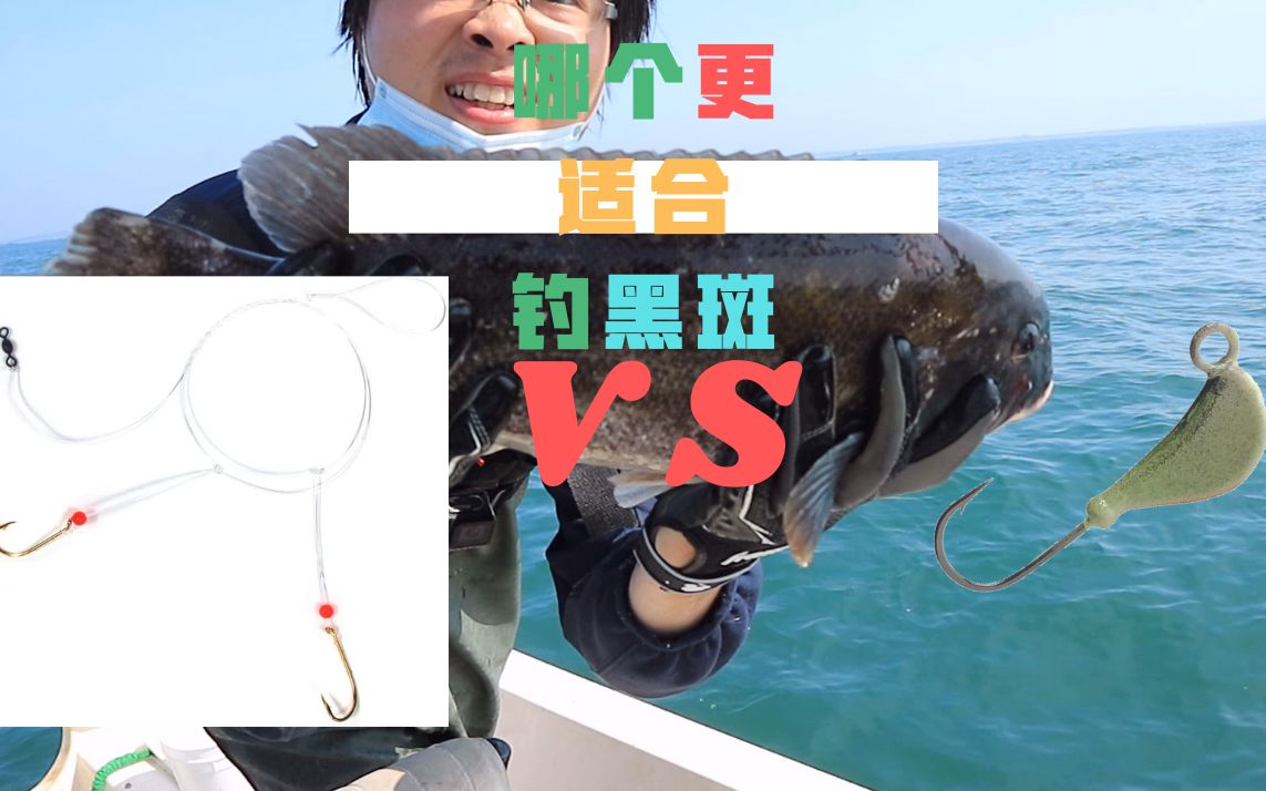 tautog blackfish fishing jig vs rig | 铅头钩还是钓组,哪个钓黑斑