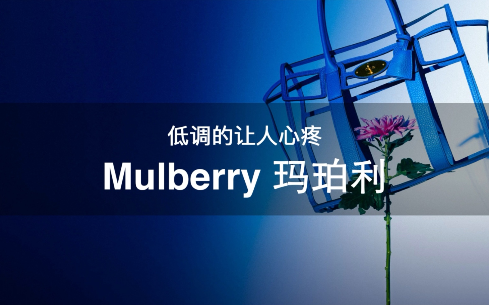 108个大牌科普 | 第26期 低调的让人心疼 Mulberry玛珀利哔哩哔哩bilibili