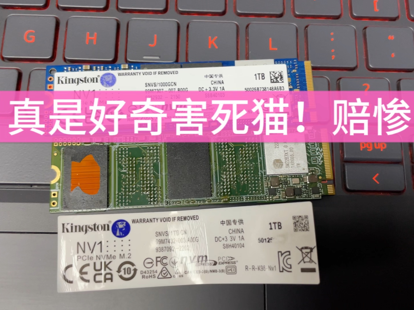 赔惨了!撕下固态硬盘标签,竟然把颗粒直接撕破了!这假金士顿固态这么垃圾吗?哔哩哔哩bilibili