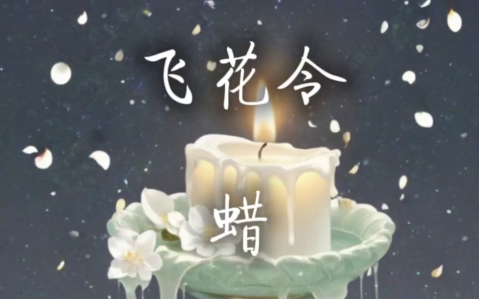 「飞花令」蜡哔哩哔哩bilibili