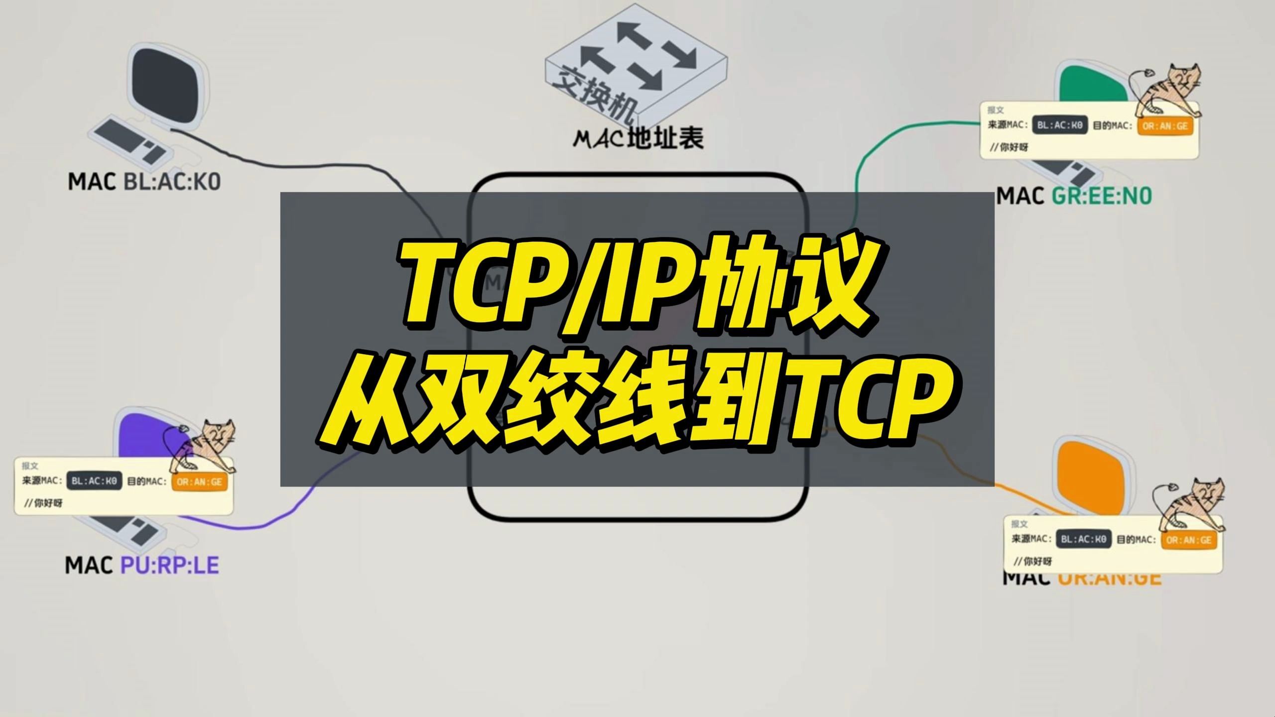 计算机网络TCP/IP协议从双绞线到TCP哔哩哔哩bilibili