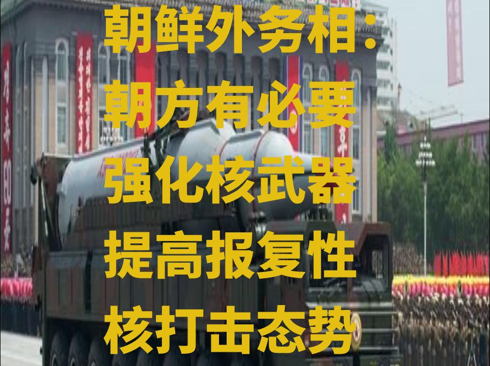 朝鲜外务相:朝方有必要强化核武器 提高报复性核打击态势哔哩哔哩bilibili