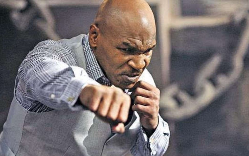 【硬核对决081】甄子丹vs泰森 叶问大战费兰奇 咏春对拳击