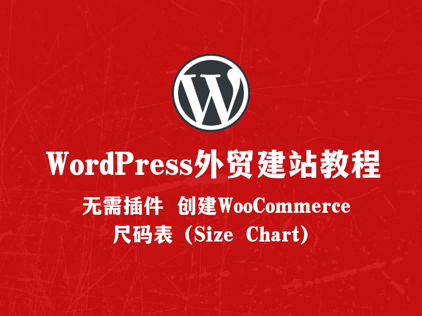 WordPress外贸建站:无需插件 为WooCommerce创建Size Chart尺码表(Kadence)哔哩哔哩bilibili