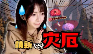 Tải video: 萌新：我真的会谢。【泰拉瑞亚灾厄#4】