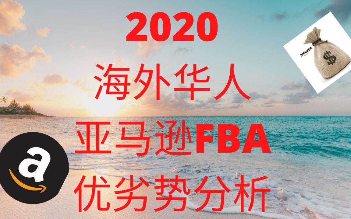 2020年海外华人卖家如何做亚马逊?★海麦亚马逊FBA★哔哩哔哩bilibili