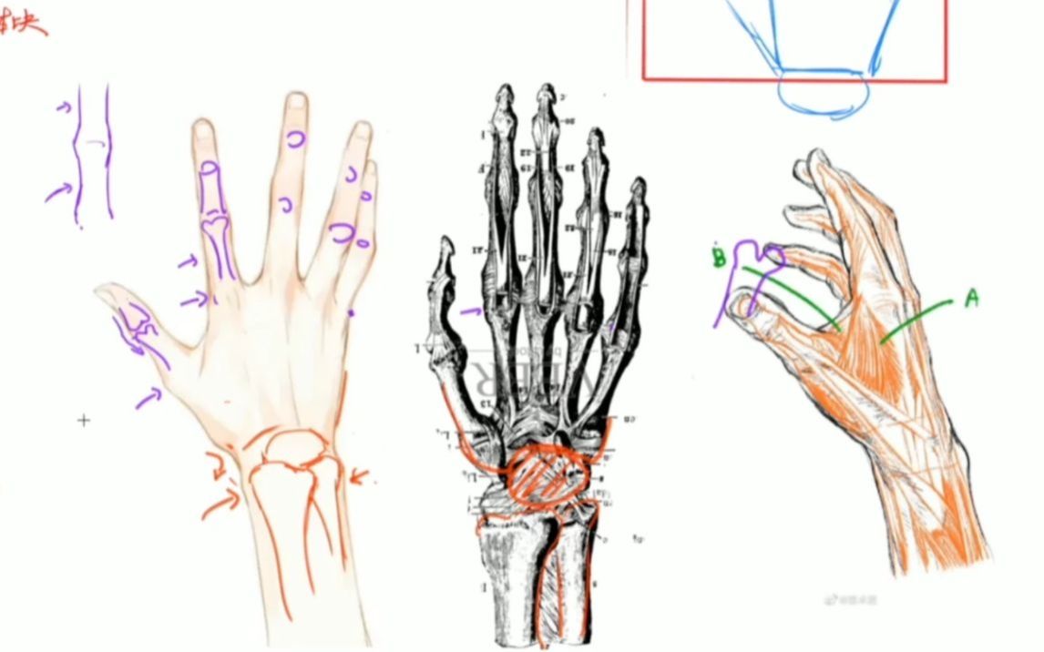 【绘画教程】画手就是那么简单人人都该学会哔哩哔哩bilibili