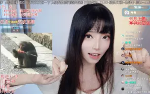 Download Video: 你有见过在路中间蹲着吃冰糖葫芦还会吐核的猴子嘛？