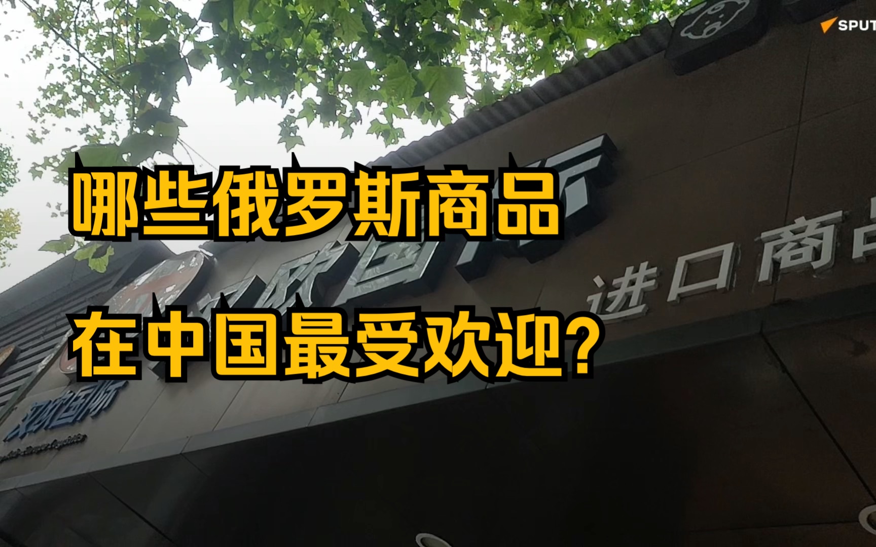 【俄罗斯卫星通讯社】哪些俄罗斯商品在中国最受欢迎?哔哩哔哩bilibili