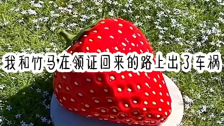 白玉新生哔哩哔哩bilibili