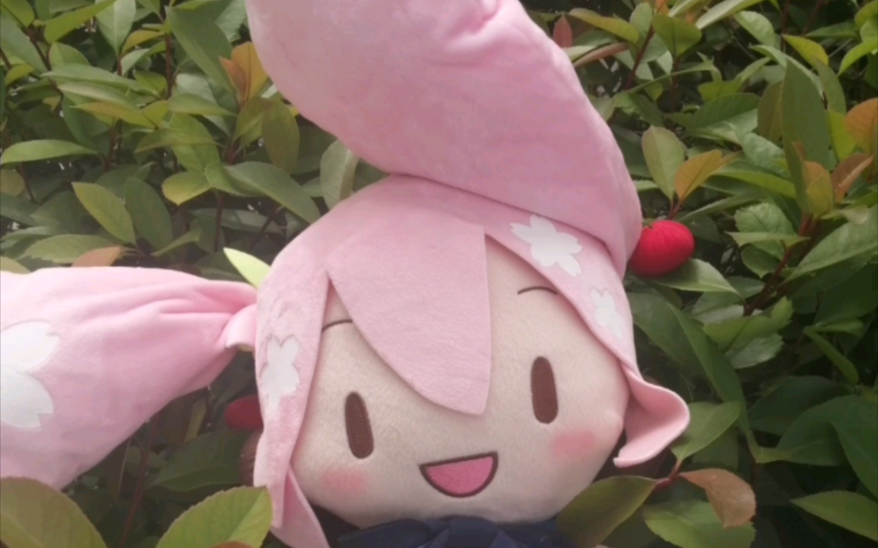 fufu教你如何v我50