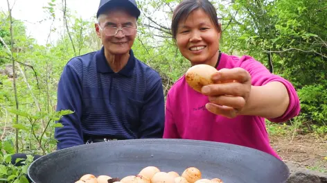 皖乡美食小凤图片