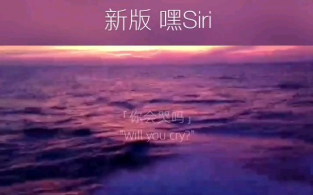 [图]"嘿Siri,Will you cry 你会哭吗？"很感人的对话