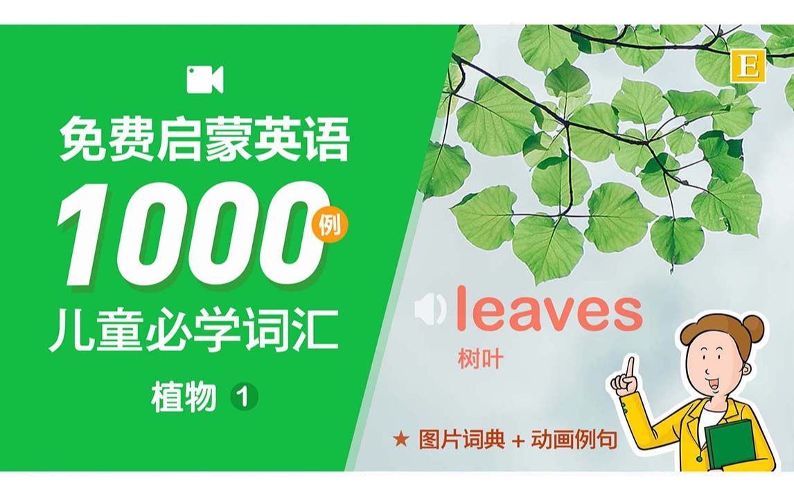 [图]图解1000个生活中常见高频单词。看图背单词，儿童必学！植物第1集