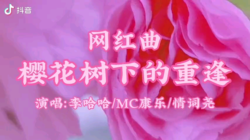 [图]樱花树下的重逢-MC康乐＆李哈哈