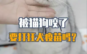 Download Video: 被犬猫抓伤、咬伤先别慌，自行判断一下！