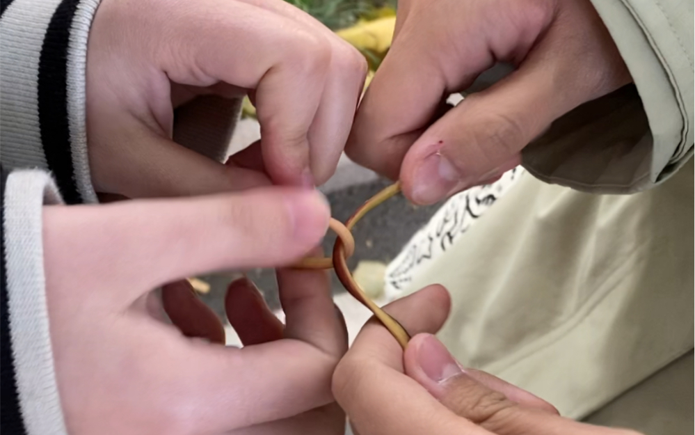 【随手记7】大学生在拔根儿 11.