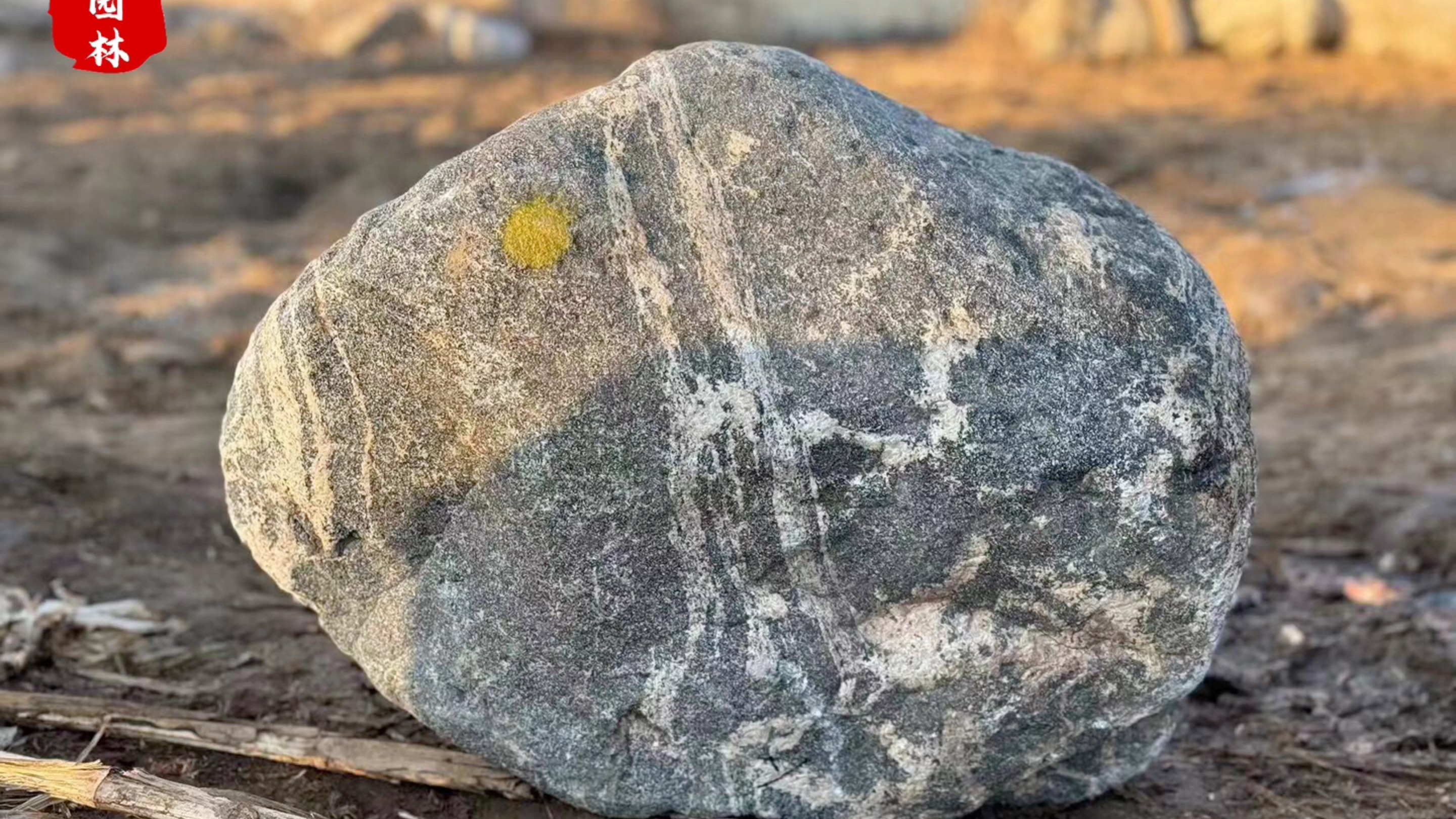 风景石改善了我们的生活环境,满足了人类对美好自然生活的追求.