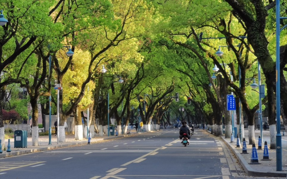 【长沙春景】岳麓大学城