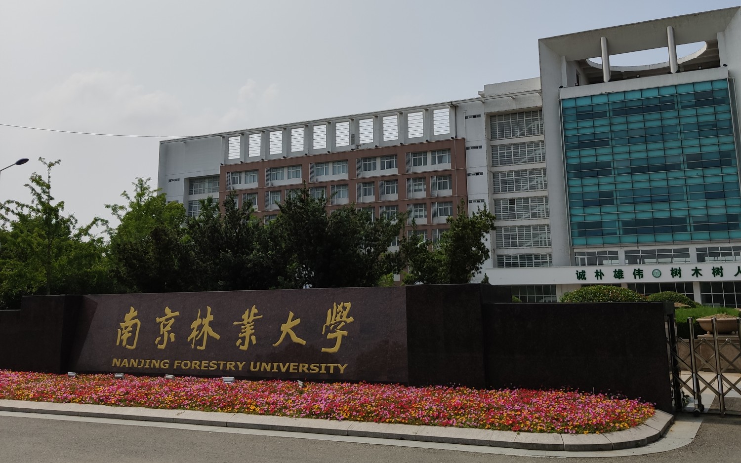 南京林业大学淮安校区图片