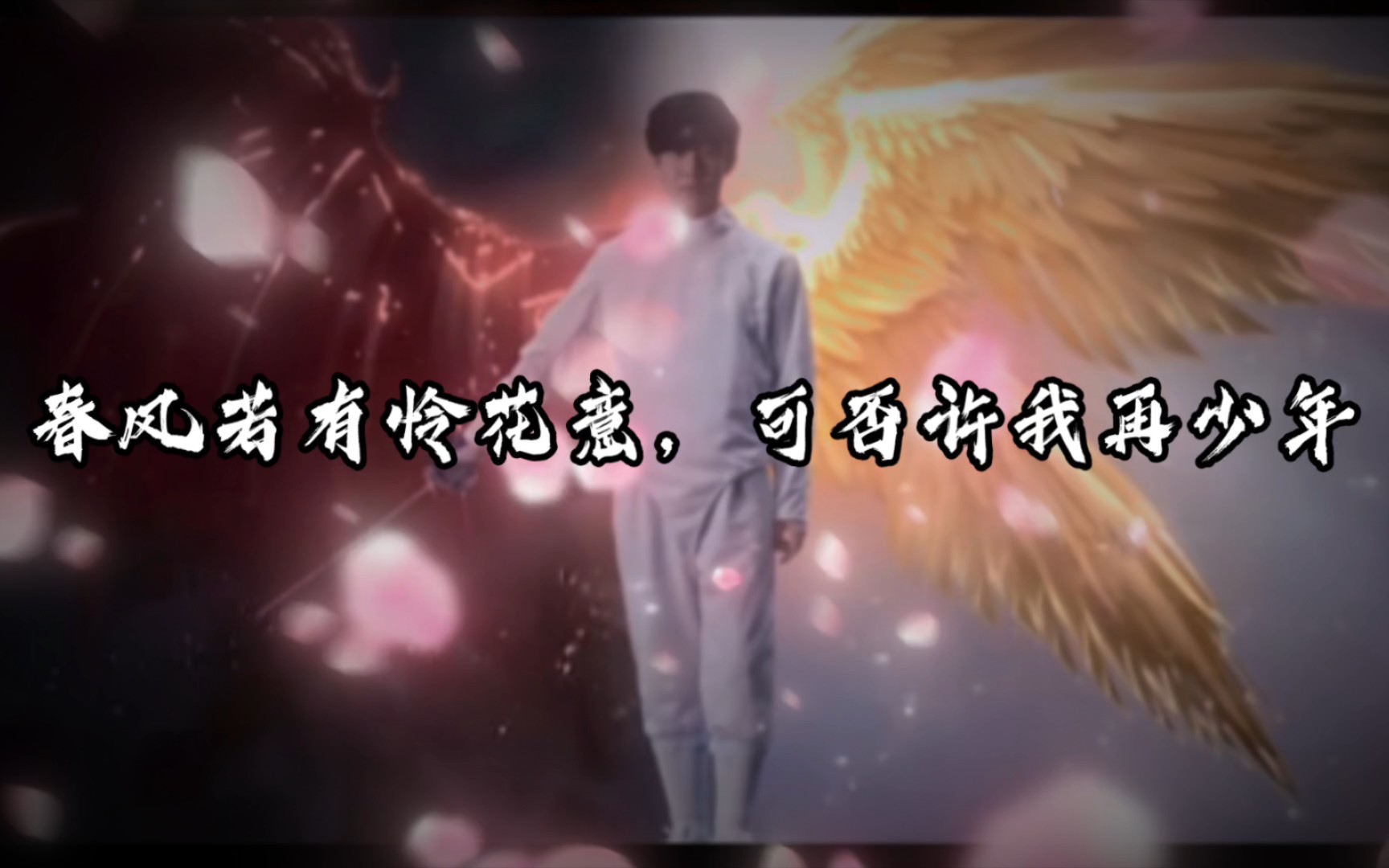 春风若有怜花意,可否许我再少年