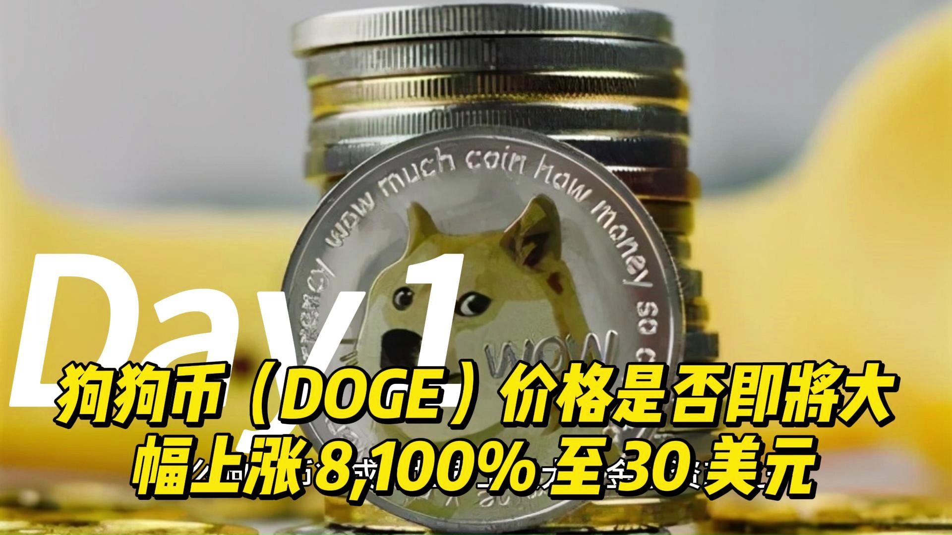 狗狗币(DOGE)价格是否即将大幅上涨 8,100% 至 30 美元哔哩哔哩bilibili