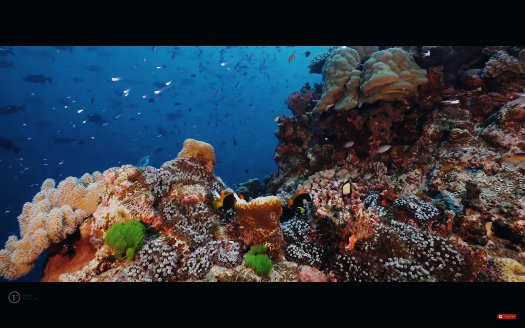 大堡礁浮潜视频2