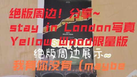 Stray Kids】STAY IN LONDON PB DVD 全场精效中字_哔哩哔哩_bilibili