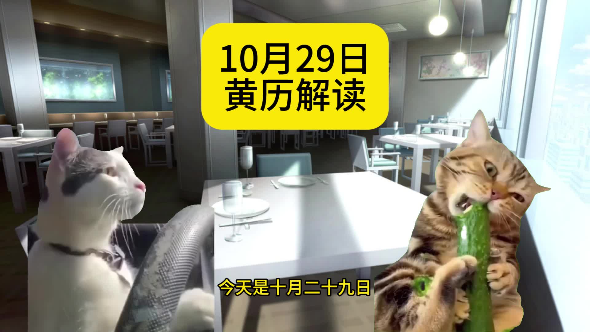 【猫meme】10月27日黄历解读(每日必看!)哔哩哔哩bilibili