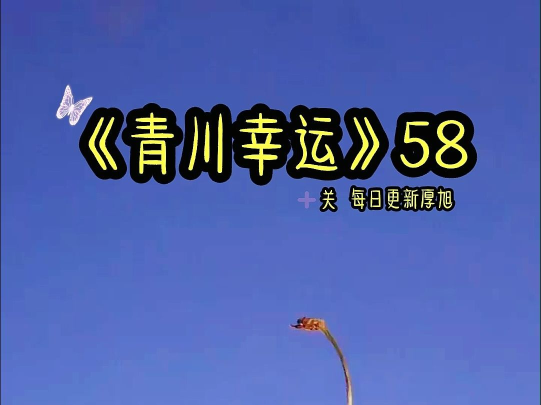 青川幸运58哔哩哔哩bilibili