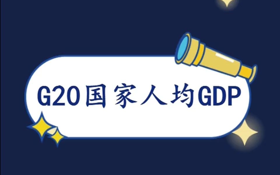 G20国家人均GDP排名哔哩哔哩bilibili