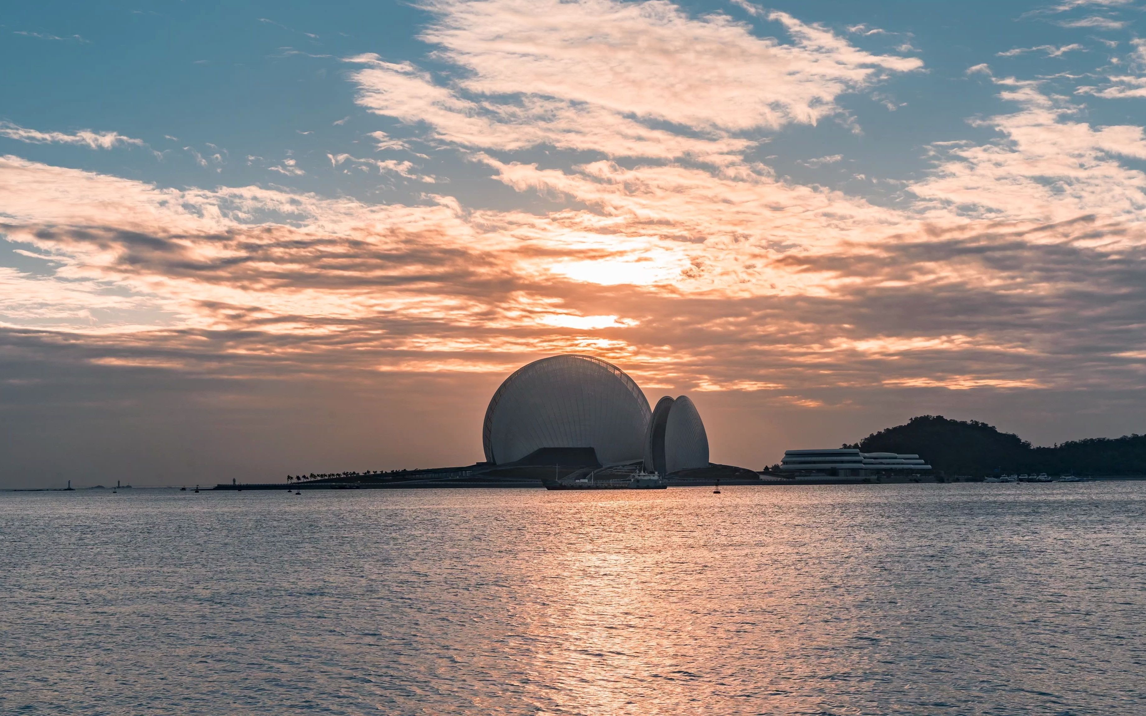 沐浴在晨光中的日月贝,4k展现它的美