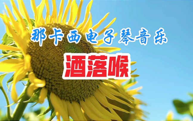 [图]【那卡西】立体声-台语电子琴音乐《酒落喉》