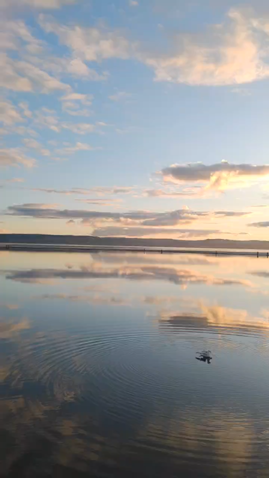 540_960竖版 竖屏