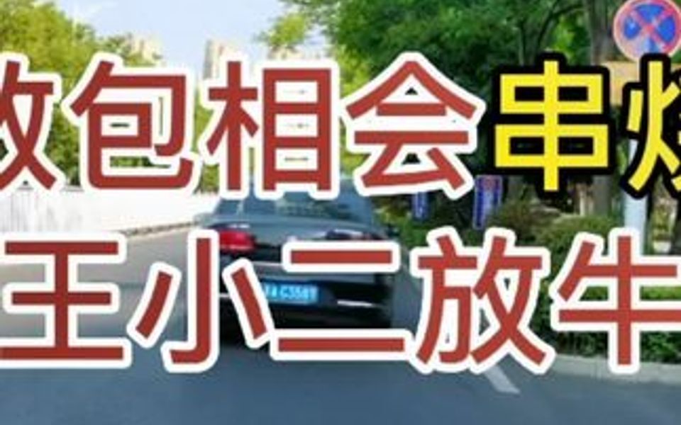 [图]经典民歌《敖包相会》串烧《王小二放牛》，电子琴纯音乐DJ舞曲，节奏欢快，旋律优美动听。