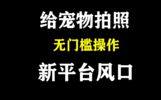 新手也能做的新平台风口,无门槛操作宠物拍照就能赚钱哔哩哔哩bilibili