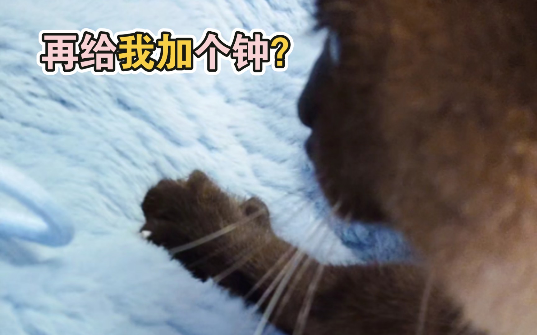 师傅,再给我加个钟?