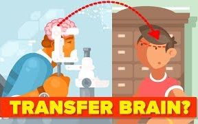 [图]【科普】为什么不能移植大脑 Why Can't We Transplant Brains-The Infographics Show-中字