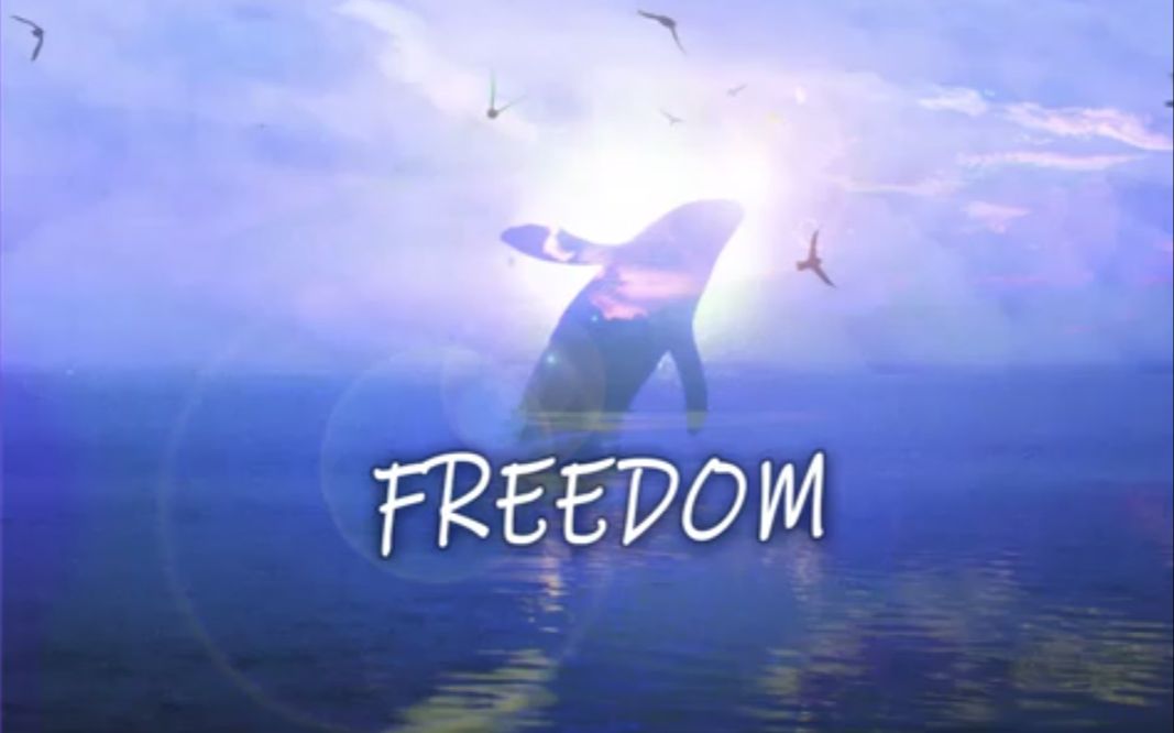 [图]《Freedom》 贝贝/阿之AZ“我也曾困惑也曾贪婪也曾因为入戏太深，所经历的一切让我失了神”