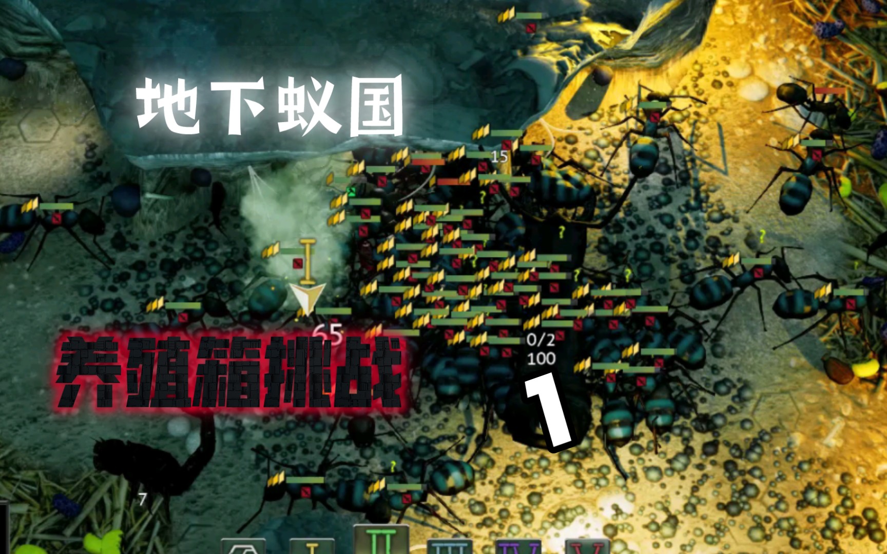 地下蚁国 养殖箱挑战1