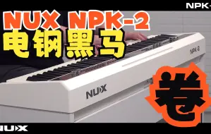 Download Video: 国产电钢琴黑马！NUX NPK-2电钢琴音色演示！