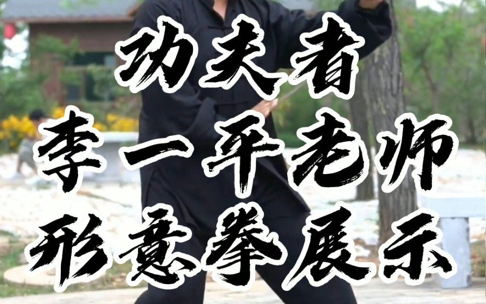 形意拳李一平想学形意拳就来功夫者找他吧