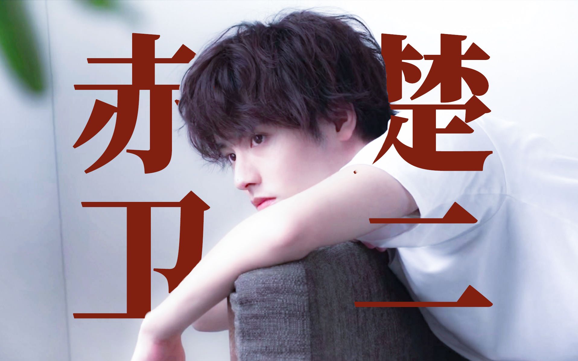 赤楚卫二向全世界安利赤楚卫二这个男人竟该死的甜美个人向混剪