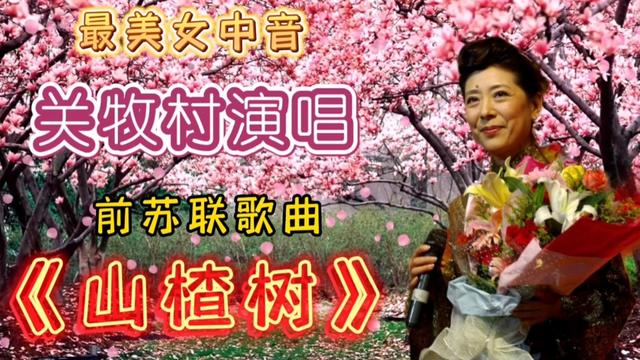 著名女中音關牧村演唱的《山楂樹》讓人回味無窮