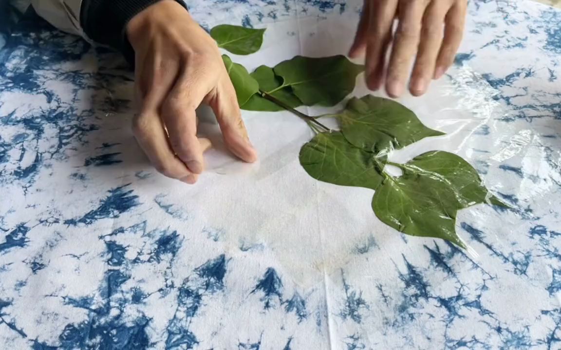 385植物敲拓染一抖音小助手让我们用这种方式记录下春天的美吧生活的