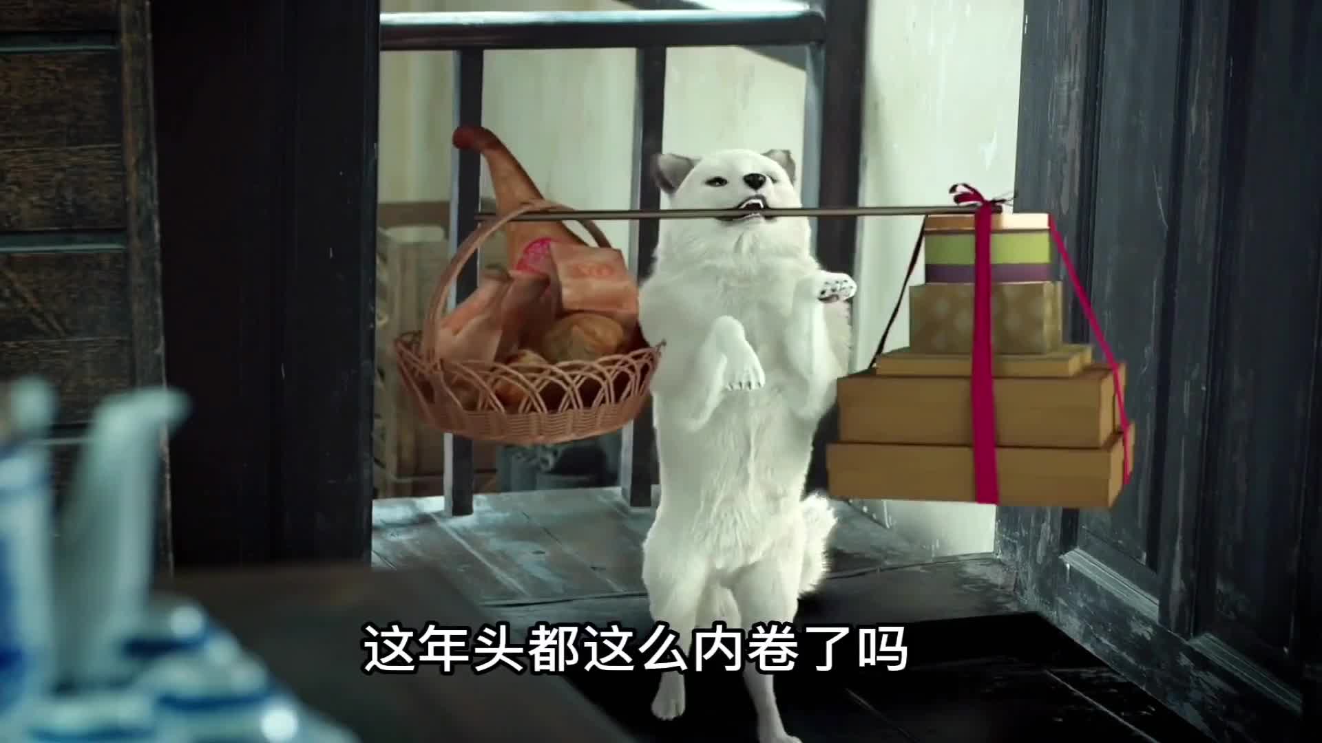 千年狐妖不慎丢失内丹,无法幻化人形,只能送礼求无心法师帮忙