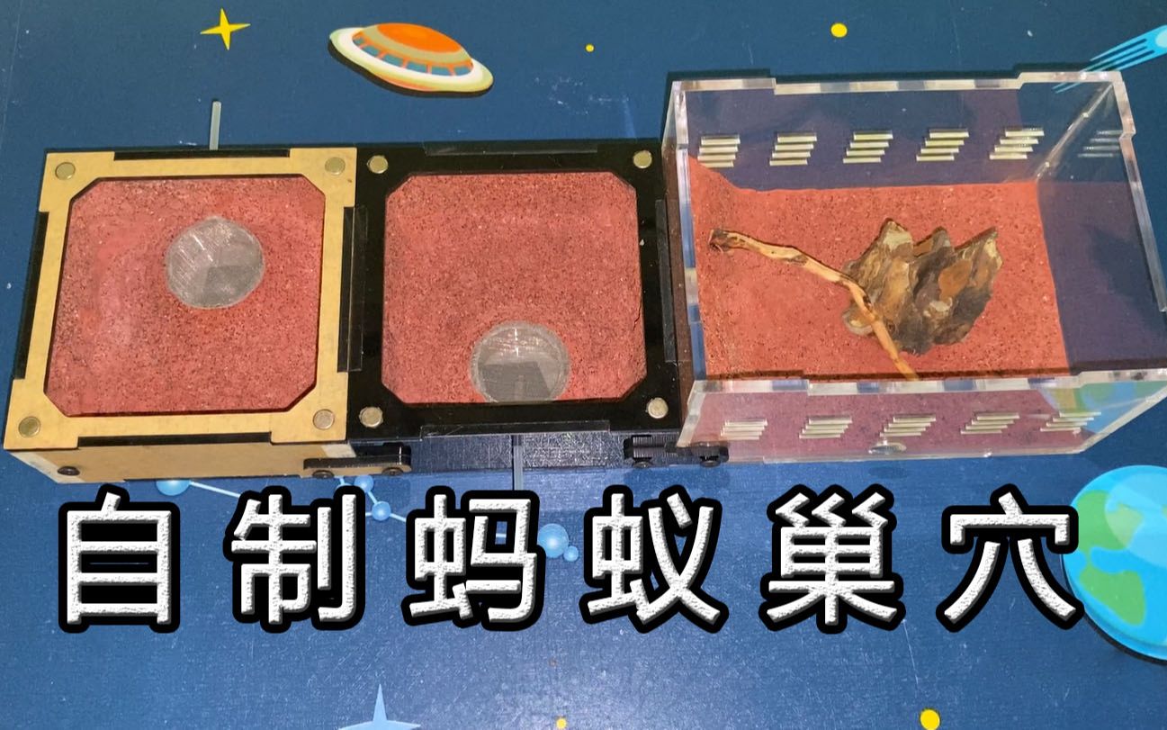 介绍几套自己做的蚂蚁巢_哔哩哔哩_bilibili