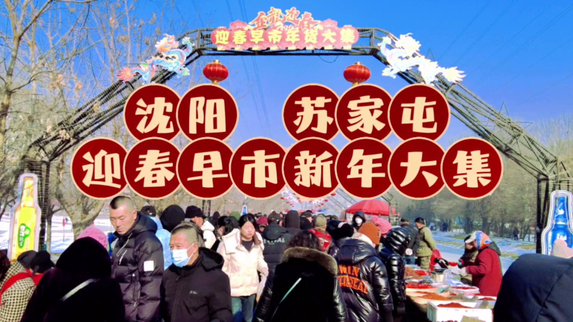 [图]【十马路刚子】沈阳苏家屯迎春早市新年大集 东北接地气的新年赶集